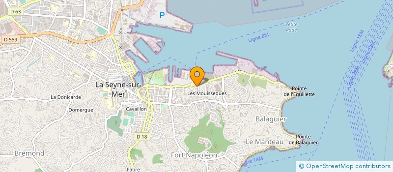 localisation de l'entreprise MADAME ANDREE MONTESINOS à LA SEYNE SUR MER