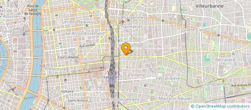 localisation de l'entreprise MADAME ANDREE PALLAGROSI  LYON