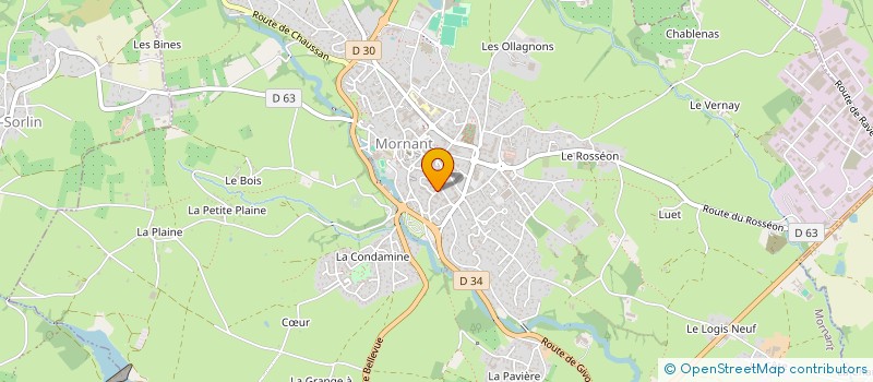 localisation de l'entreprise MADAME ANDREE RIGAUD  MORNANT