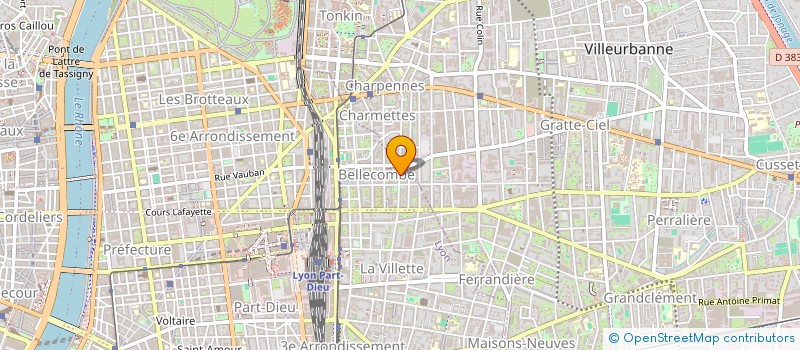 localisation de l'entreprise MADAME ANDREE RIOUX à LYON