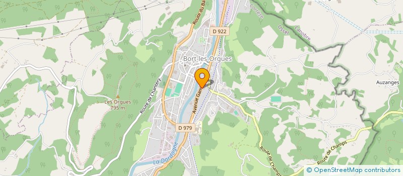 localisation de l'entreprise MADAME ANDREE TOURNADRE  BORT-LES-ORGUES