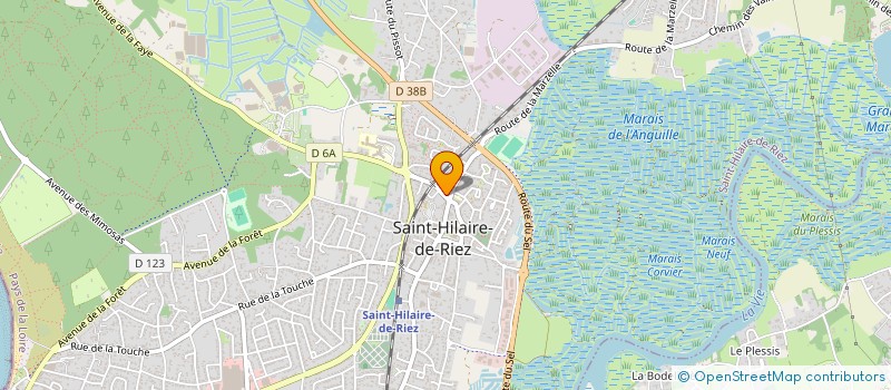 localisation de l'entreprise MADAME ANDREE TOUZEAU à SAINT-HILAIRE-DE-RIEZ