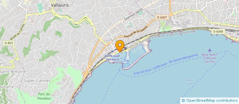 localisation de l'entreprise MADAME ANDREE VEYRAT à VALLAURIS