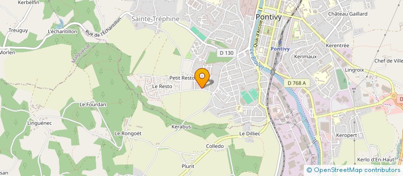 localisation de l'entreprise MADAME ANDREEA CICU  PONTIVY