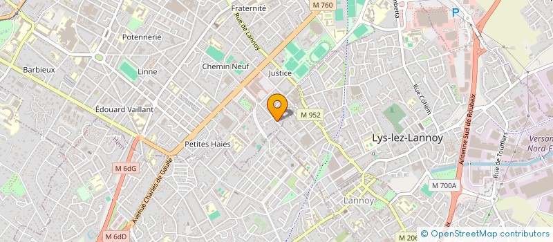 localisation de l'entreprise MADAME ANELIA ALADZHOVA à ROUBAIX
