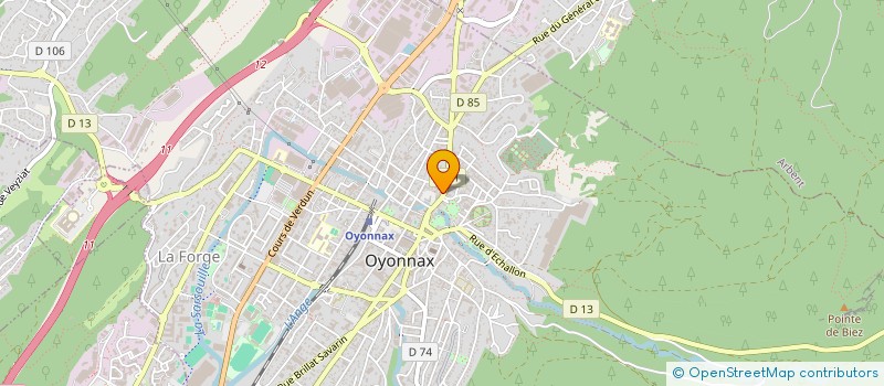 localisation de l'entreprise MADAME ANETA MONICA DRUGA à OYONNAX