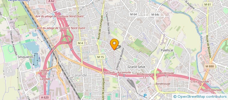 localisation de l'entreprise MADAME ANGELA BLAGOE  TOULOUSE