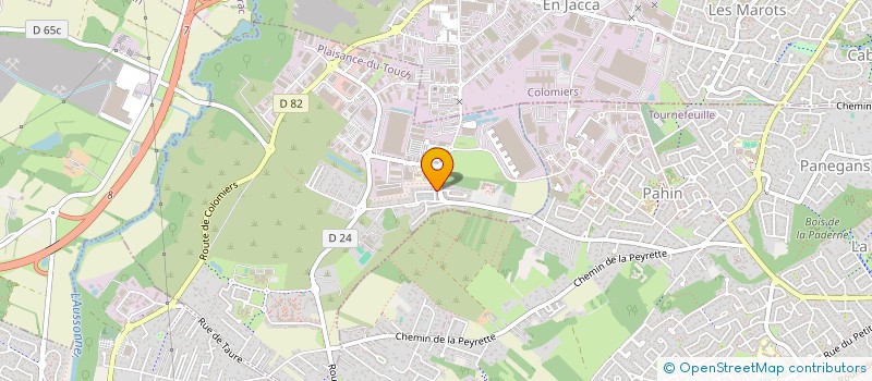 localisation de l'entreprise MADAME ANGELA BORJA GIMENEZ  PLAISANCE-DU-TOUCH