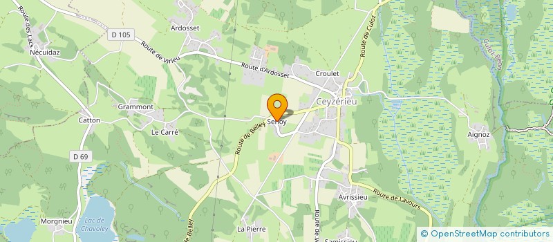 localisation de l'entreprise MADAME ANGELA IGELMUND  CEYZERIEU