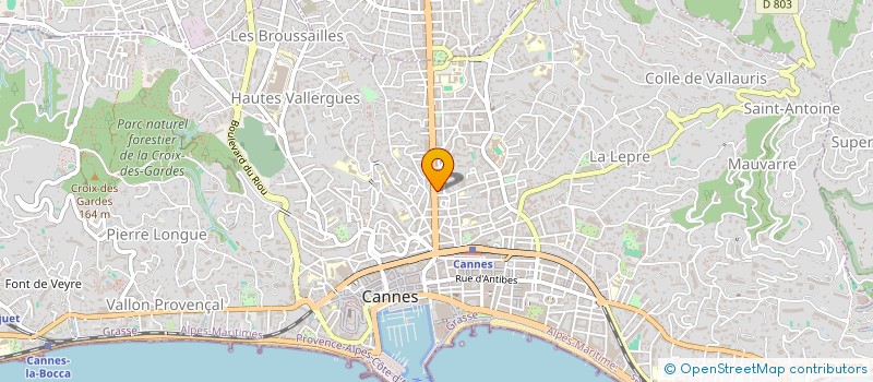 localisation de l'entreprise MADAME ANGELA MAFFIA  CANNES