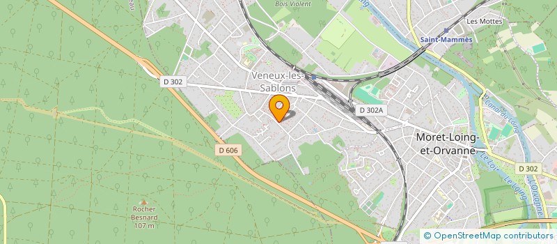 localisation de l'entreprise MADAME ANGELE BASSEUR  MORET-LOING-ET-ORVANNE