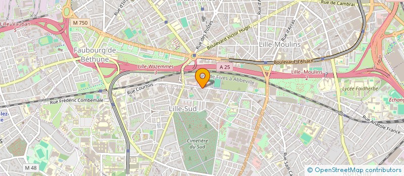 localisation de l'entreprise MADAME ANGELE FOLLET à LILLE