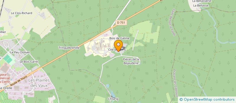 localisation de l'entreprise MADAME ANGELE GUERTIN  SAINT-BENOIT-LA-FORET