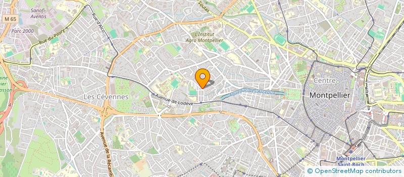 localisation de l'entreprise MADAME ANGELE LALLEMENT à MONTPELLIER