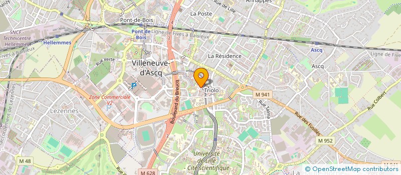 localisation de l'entreprise MADAME ANGELE MALENGELE à VILLENEUVE-D'ASCQ