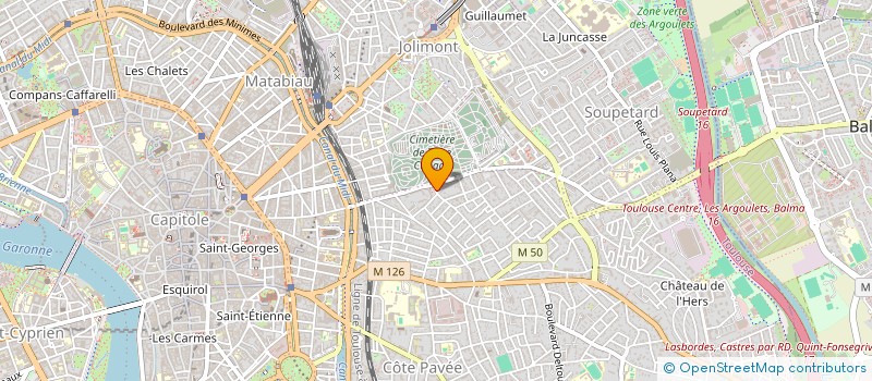 localisation de l'entreprise MADAME ANGELE NOUBEL  TOULOUSE