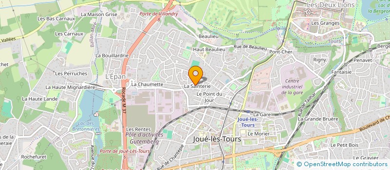 localisation de l'entreprise MADAME ANGELIKA KIZYAKINA  JOUE-LES-TOURS