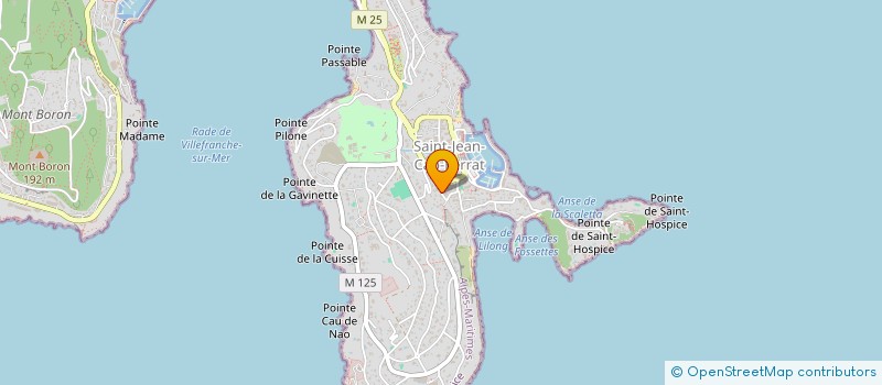 localisation de l'entreprise MADAME ANGELIKA LAUBSCHER à SAINT-JEAN-CAP-FERRAT