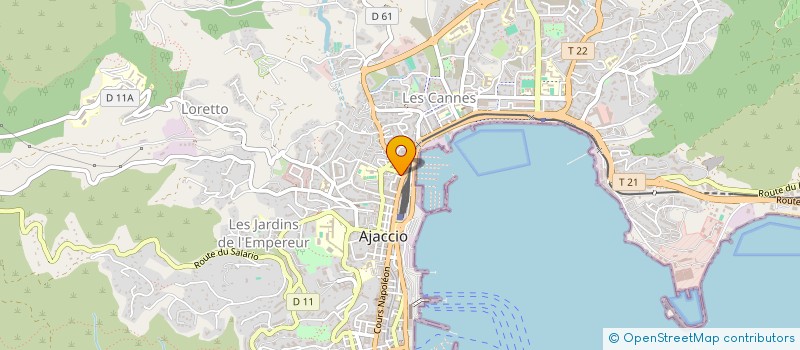 localisation de l'entreprise MADAME ANGELINA GONZALES ORTIZ à AJACCIO