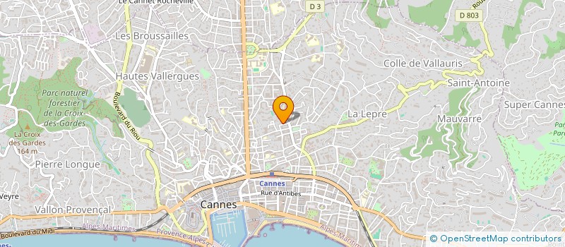 localisation de l'entreprise MADAME ANGELINA RIALLAND à CANNES