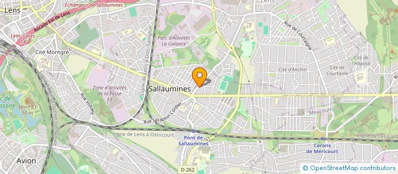 localisation de l'entreprise MADAME ANGELINA STEPPE  SALLAUMINES