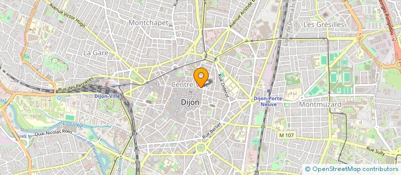 localisation de l'entreprise MADAME ANGELINA WITTMER à DIJON
