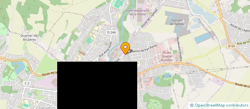 localisation de l'entreprise MADAME ANGELINE DELLO IACONO  PONT-DE-CHERUY