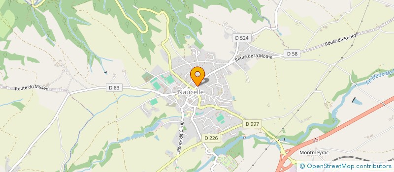 localisation de l'entreprise MADAME ANGELINE DRUILHE  NAUCELLE