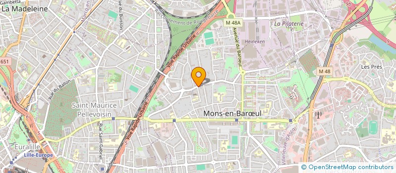 localisation de l'entreprise MADAME ANGELIQUE AERNOUTS  MONS-EN-BARUL