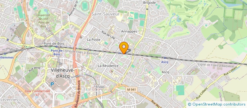 localisation de l'entreprise MADAME ANGELIQUE BENOUN à VILLENEUVE-D'ASCQ