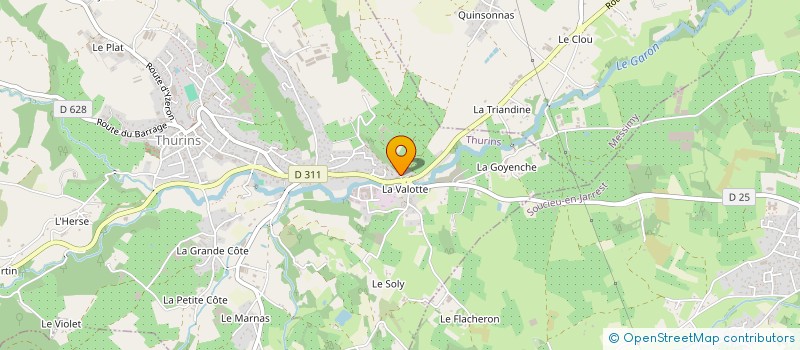 localisation de l'entreprise MADAME ANGELIQUE BRAVO  THURINS