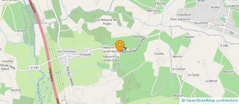 localisation de l'entreprise MADAME ANGELIQUE BRIZARD  CEZAC