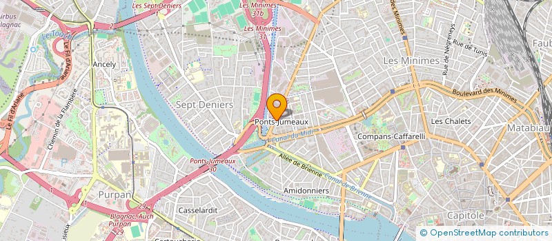 localisation de l'entreprise MADAME ANGELIQUE CHAUSSONNAUD à TOULOUSE