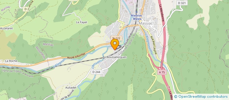 localisation de l'entreprise MADAME ANGELIQUE CORNET à MASSIAC