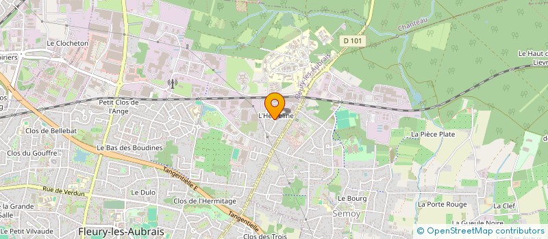 localisation de l'entreprise MADAME ANGELIQUE DUPONT à FLEURY-LES-AUBRAIS