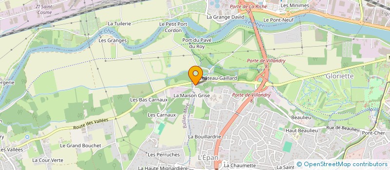 localisation de l'entreprise MADAME ANGELIQUE DURAND  JOUE-LES-TOURS