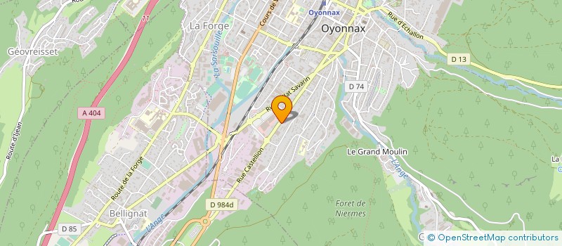 localisation de l'entreprise MADAME ANGELIQUE ELOY à OYONNAX