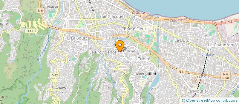 localisation de l'entreprise MADAME ANGELIQUE ESPEL  SAINT-DENIS