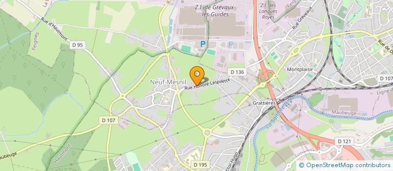 localisation de l'entreprise MADAME ANGELIQUE HAKELBERG  NEUF-MESNIL