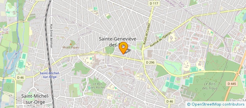 localisation de l'entreprise MADAME ANGELIQUE HIANNE  SAINTE-GENEVIEVE-DES-BOIS