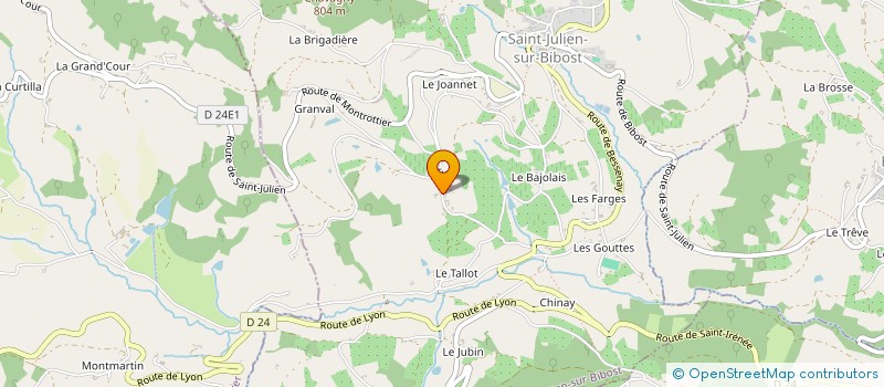 localisation de l'entreprise MADAME ANGELIQUE LASSONNERY à SAINT-JULIEN-SUR-BIBOST