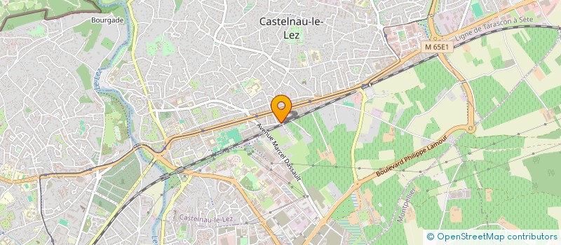 localisation de l'entreprise MADAME ANGELIQUE LEAL  CASTELNAU-LE-LEZ