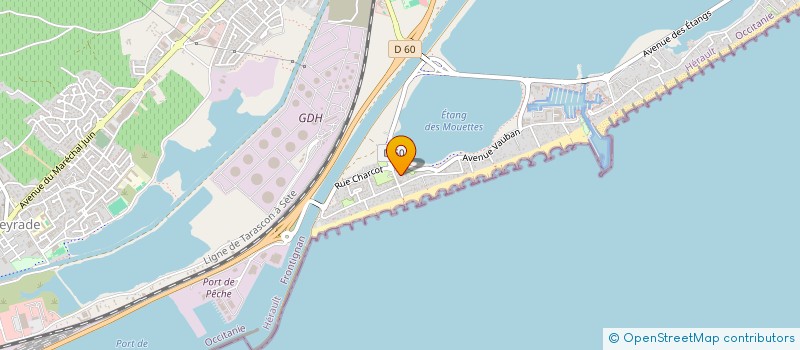 localisation de l'entreprise MADAME ANGELIQUE LEFORT à FRONTIGNAN