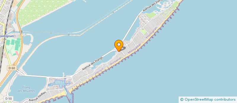 localisation de l'entreprise MADAME ANGELIQUE LESPINGAL à FRONTIGNAN