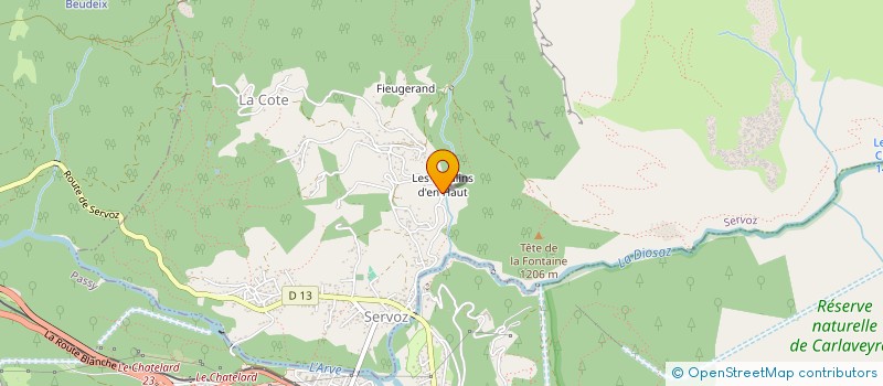 localisation de l'entreprise MADAME ANGELIQUE LOREE  SERVOZ