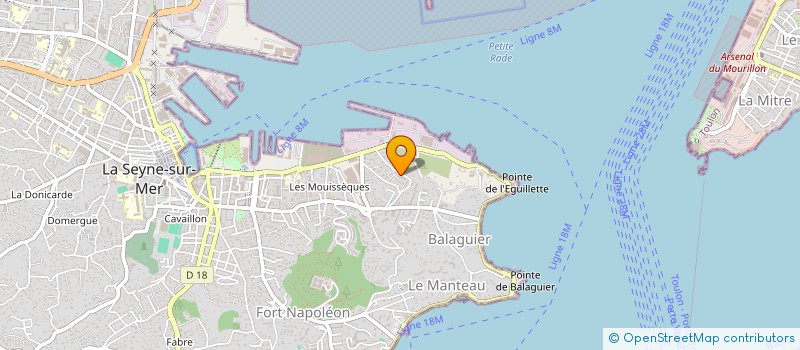 localisation de l'entreprise MADAME ANGELIQUE MAZOYER  LA SEYNE-SUR-MER