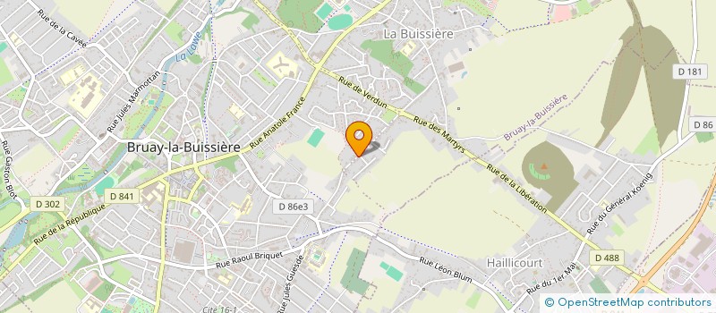 localisation de l'entreprise MADAME ANGELIQUE OPASKA à BRUAY-LA-BUISSIERE