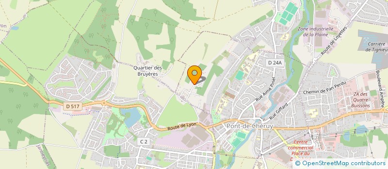 localisation de l'entreprise MADAME ANGELIQUE OUZOUNTCHIAN  PONT-DE-CHERUY