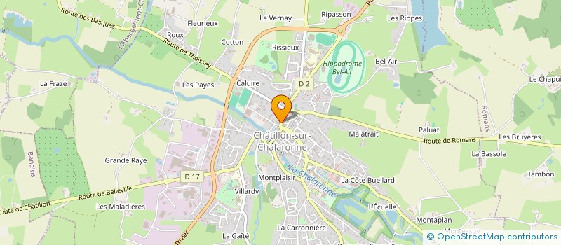 localisation de l'entreprise MADAME ANGELIQUE PERRAUD-GRANGE  CHATILLON-SUR-CHALARONNE