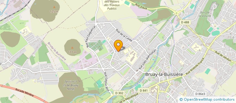 localisation de l'entreprise MADAME ANGELIQUE PETIT  BRUAY-LA-BUISSIERE